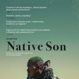 Movies You Would Like to Watch If You Like Native Son (2019)